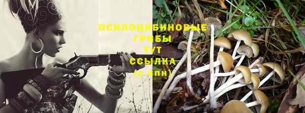 тгк Абаза