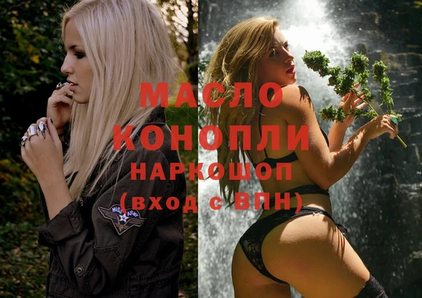 тгк Абаза