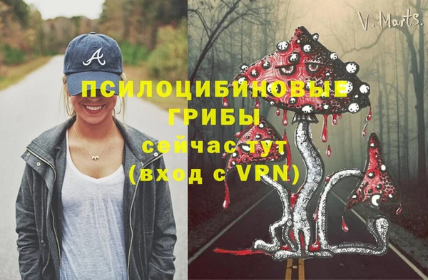ПСИЛОЦИБИНОВЫЕ ГРИБЫ Покров