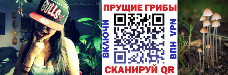 Галлюциногенные грибы мухоморы  Александровск 